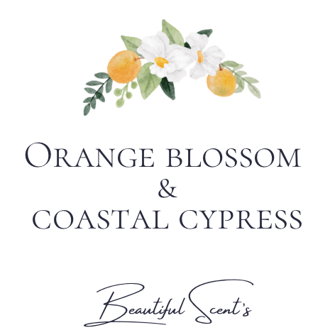 Orange blossom & coastal cypress